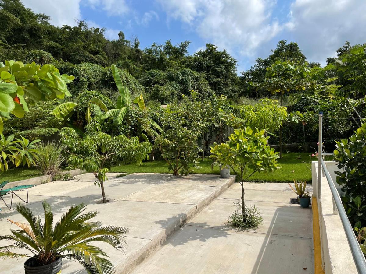 Villa Amanecer à Sayulita Extérieur photo